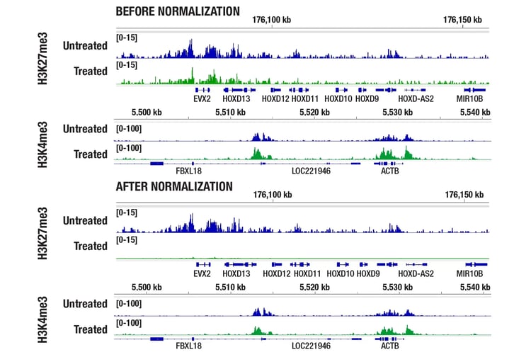 Normalization of EZH2 inhibitor drug treatment using Drosophila spike-in control in a CUT&RUN experiment. Image shows data before and after normalization in H3K4me3 and H3K27me3 cells.