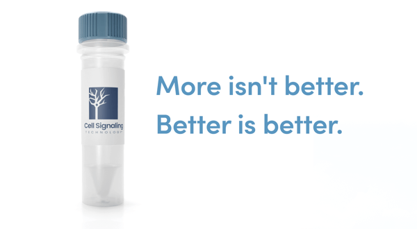 CST blue cap antibody vial with the text "More Isn't Better. Better is Better."