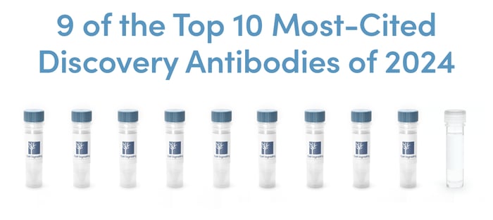 9 of the Top 10 Recombinant Antibodies are CST reagents, according to CiteAb Top Cited Antibodies of 2024
