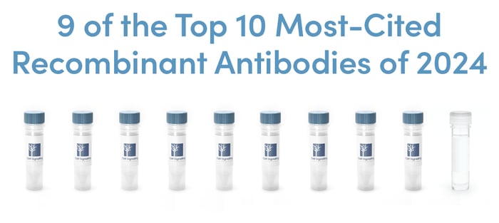 9 of the Top 10 Recombinant Antibodies are CST reagents, according to CiteAb Top Cited Antibodies of 2024