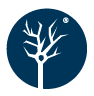 CST Logomark Blog headshot