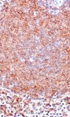 CD19 T Cell marker_antibody sampler kit thumbnail-1
