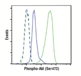 Phospho-Akt Antibody_flow cytometry Thumbnail