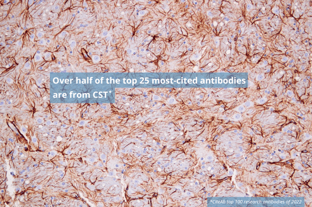 Over half of CiteAb top 25 are CST antibodies