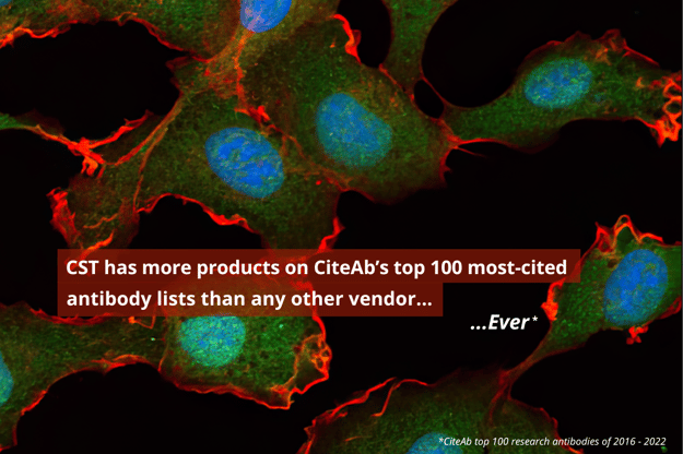 CST has more products on CiteAb's top 100 most cited antibody lists than any other vendor... ever.