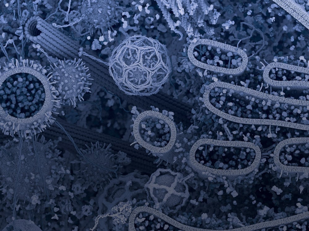 Which signaling pathways are associated with cellular senescence? Biology Diagrams