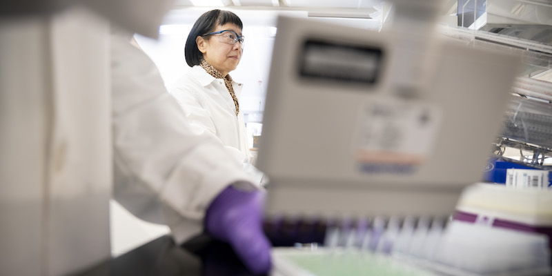 ELISA Kit Lot-to-Lot Reproducibility: Safeguard the Quality of Your Data