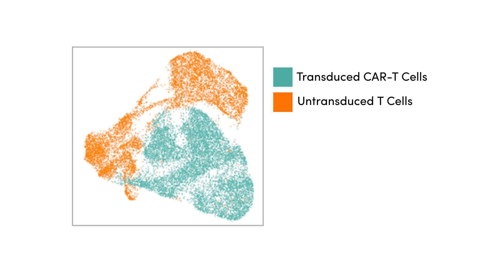 Unlocking Protein-Level Insights in CAR-T Single Cell Analysis