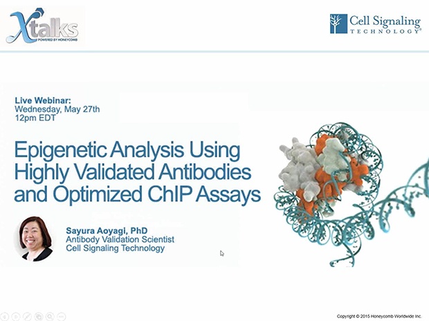 Validated Antibodies and Optimized ChIP Assays to Analyze Epigenetic Marks