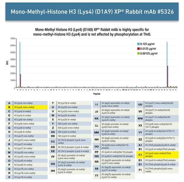 Histone Modification Graph for #5326