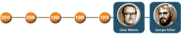 Antibody Timeline