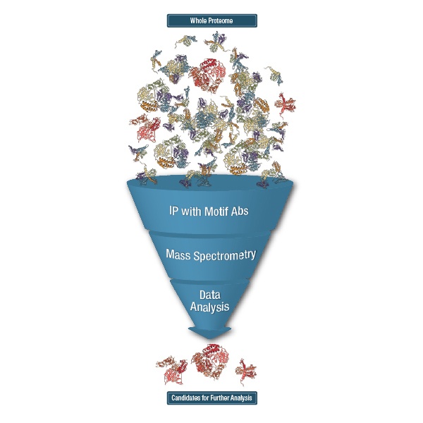 PTMScan Funnel