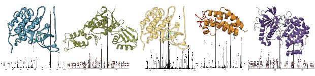 Proteomics-Blog-Header