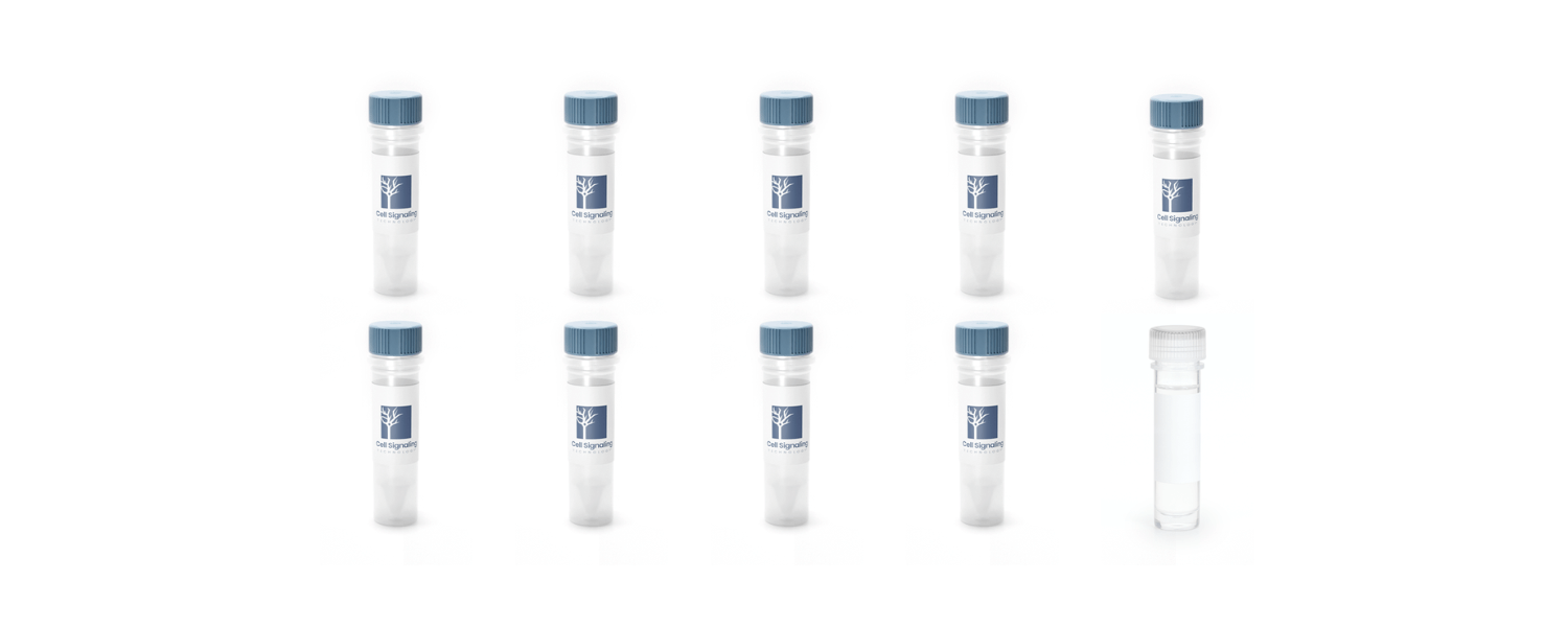 CiteAb Top 100: The Top-Ranked Recombinant Antibodies & Discovery Reagents