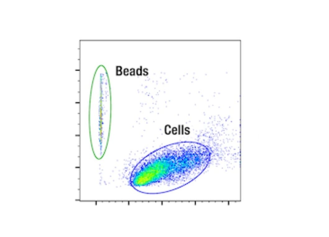 Three Reasons Flow Cytometry Controls Give You CAR Confidence
