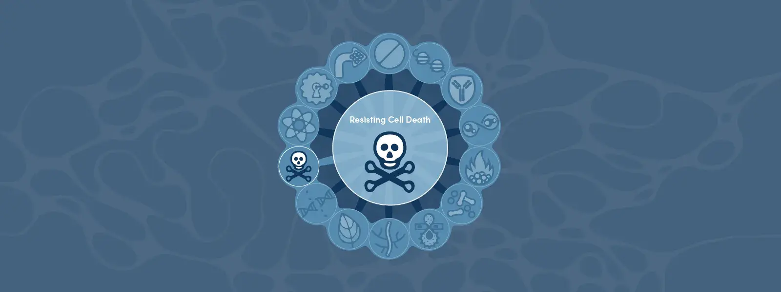 Hallmarks of Cancer: Resisting Cell Death