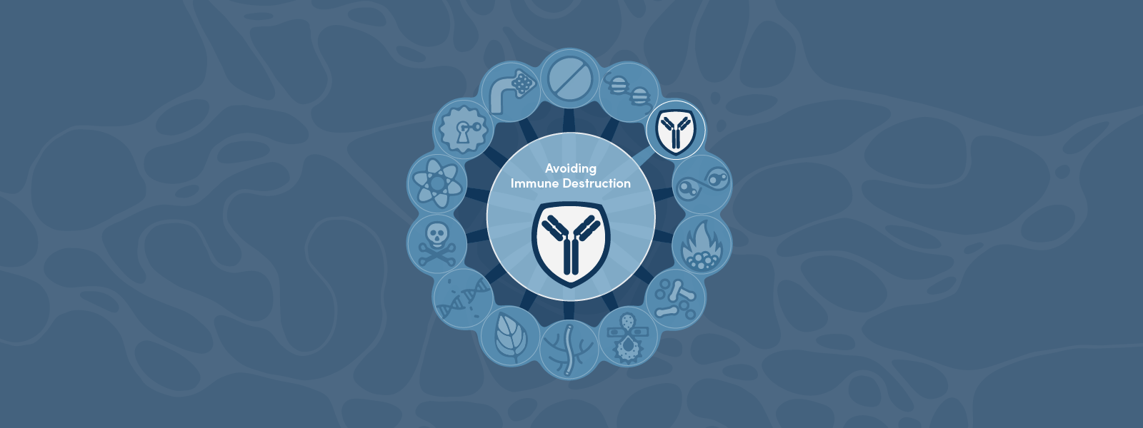 Hallmarks of Cancer: Avoiding Immune Destruction