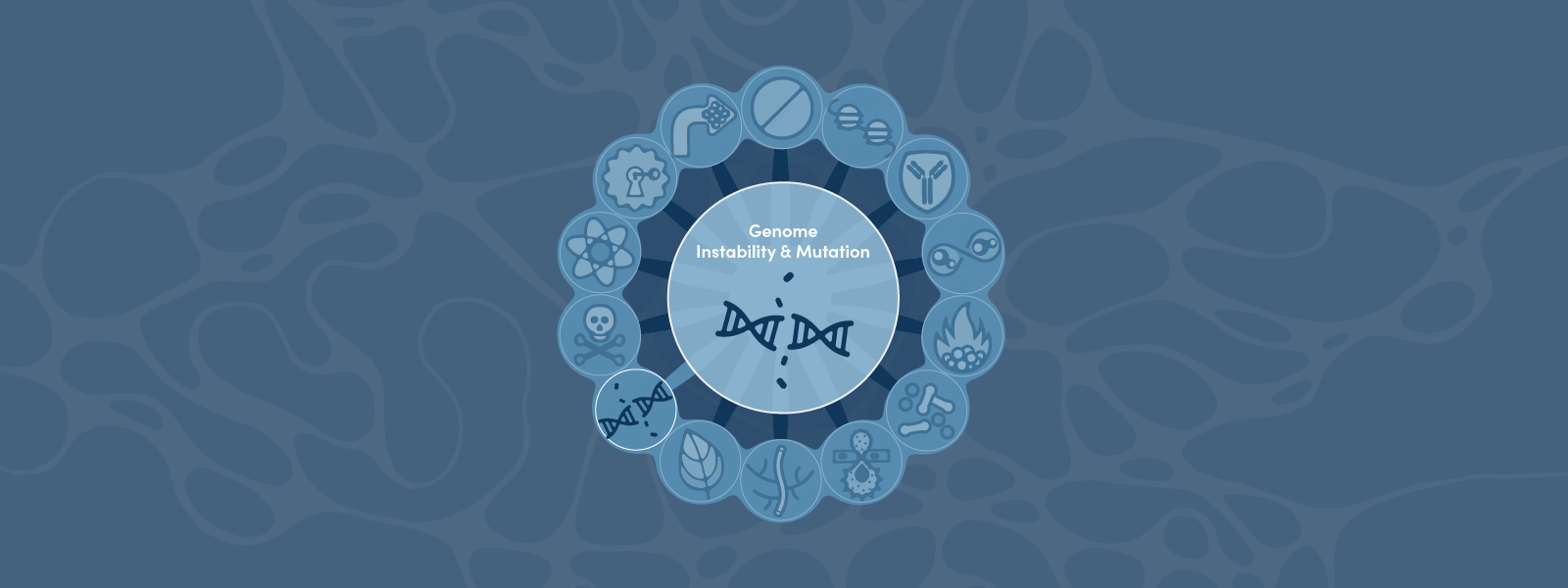 Hallmarks of Cancer: Genome Instability and Mutation