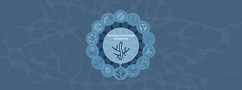 Hallmarks of Cancer: Inducing or Accessing Vasculature (Angiogenesis)