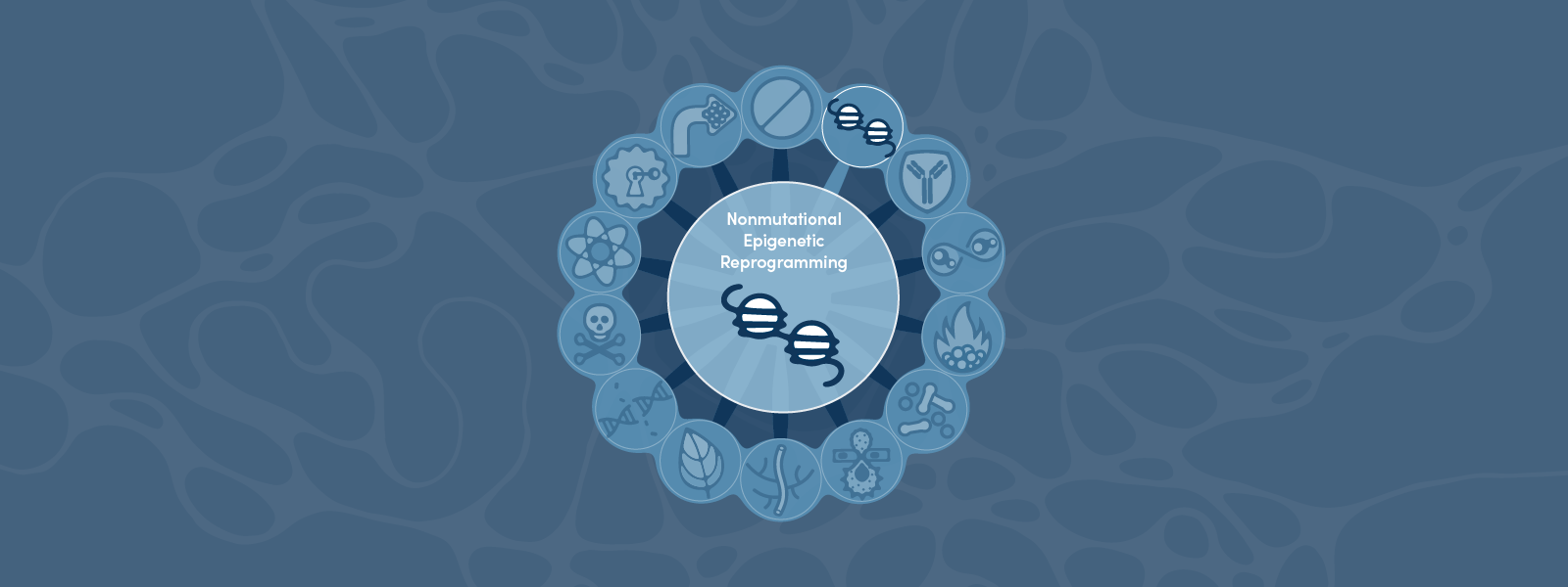 Hallmarks of Cancer: Nonmutational Epigenetic Reprogramming