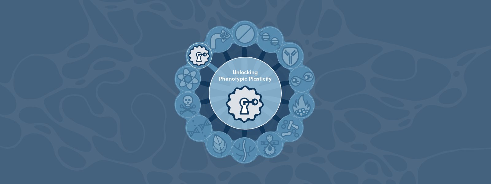 Hallmarks of Cancer: Unlocking Phenotypic Plasticity