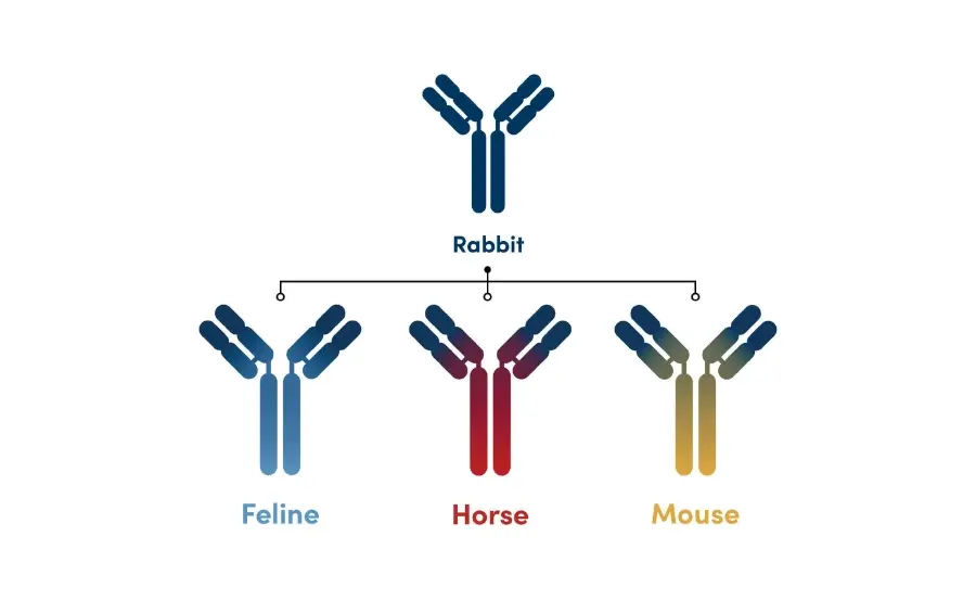 Anything but Rabbit: Why Multiplex with Chimeric Antibodies?