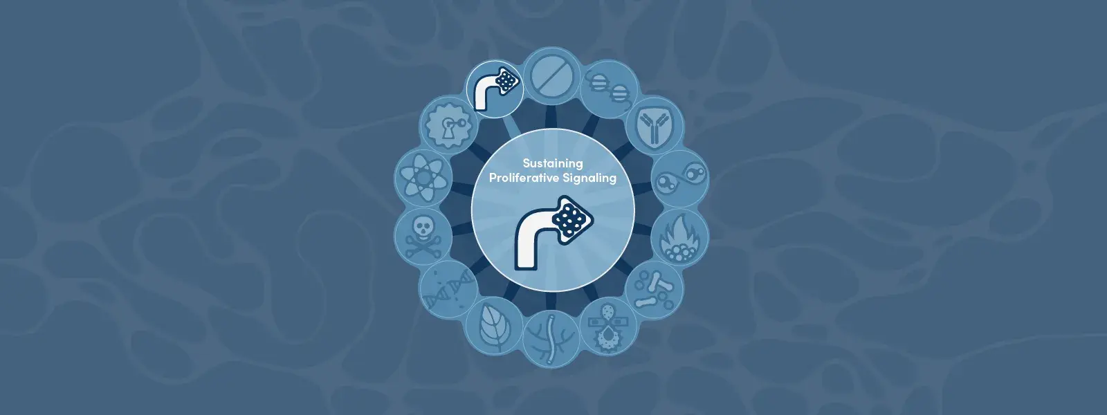 Hallmarks of Cancer: Sustaining Proliferative Signaling