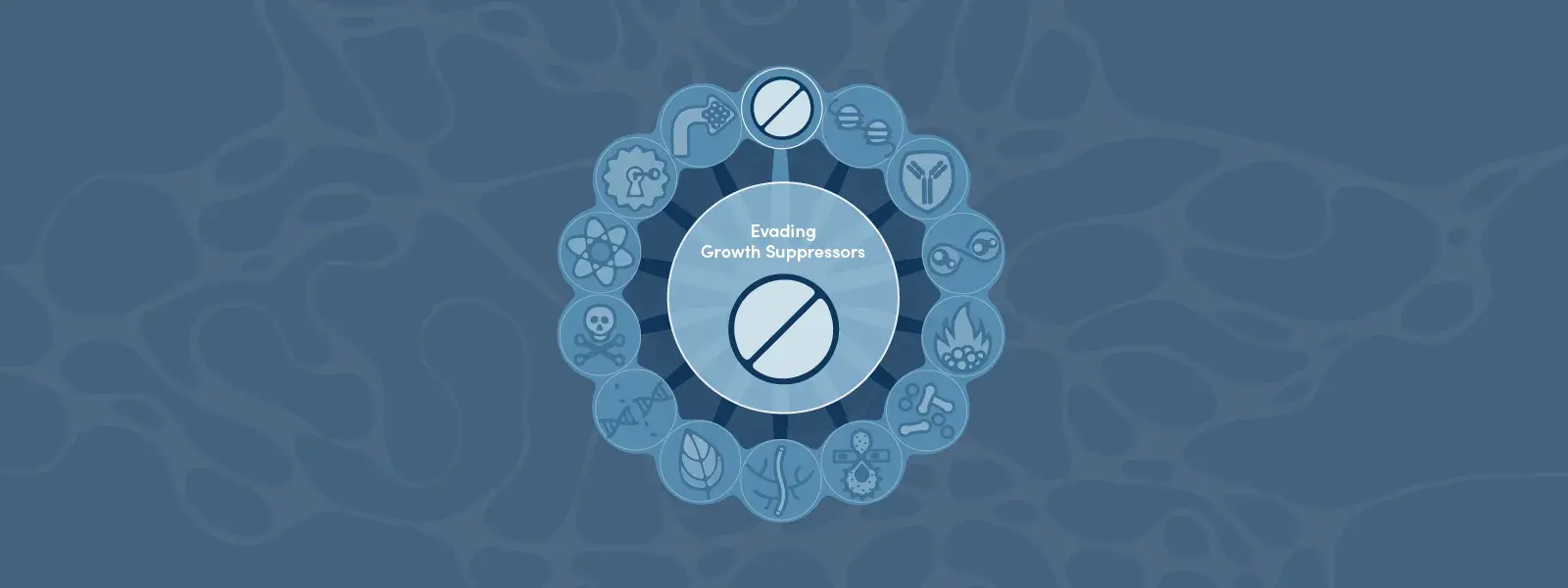 Hallmarks of Cancer: Evading Growth Suppressors