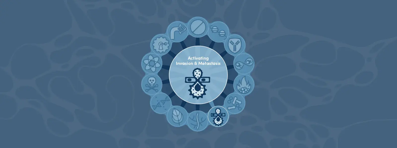 Hallmarks of Cancer: Activating Invasion and Metastasis