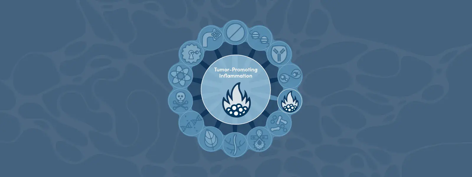 Hallmarks of Cancer: Tumor-Promoting Inflammation