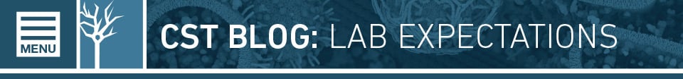 CST Blog: Lab Expectations