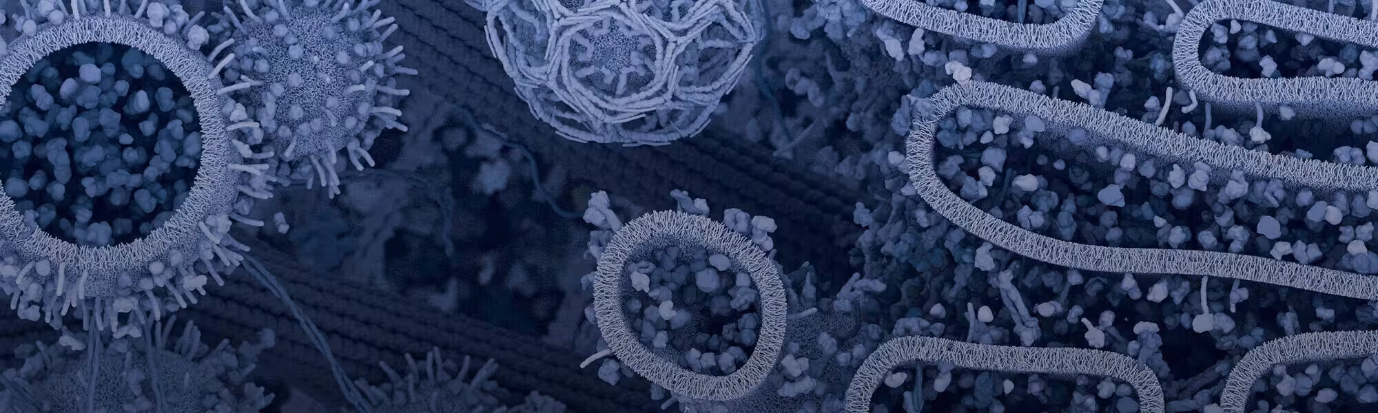 CST Blog Cellular Landscape